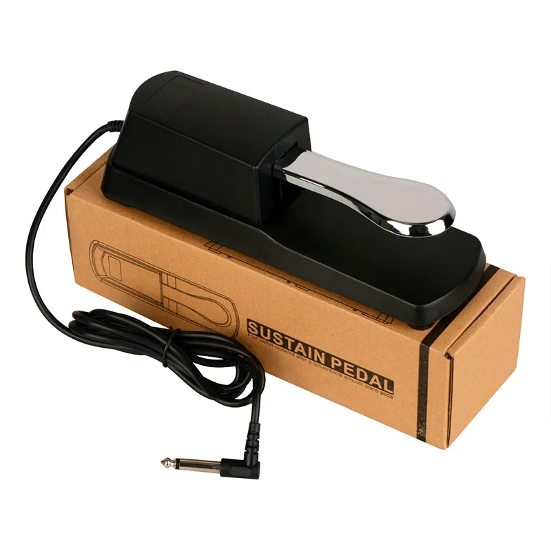 

Sustain Pedal Universal for Electric Piano Keyboard Electronic Organ Synthesizer with Polarity Switch Damper Pedal