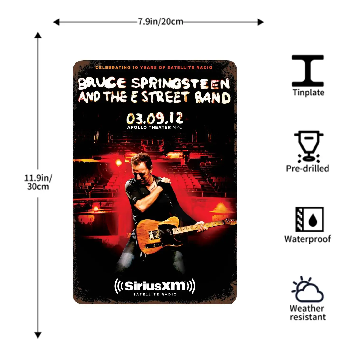Bruce Springsteen Band Decor Poster Vintage Tin Sign Metal Sign Decorative Plaque for Pub Bar Man Cave Club Wall Decoration images - 6