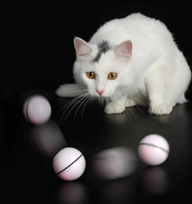 Умный мяч для кошек Xiaomi игрушка домашних животных товары заряжаемый от USB котят