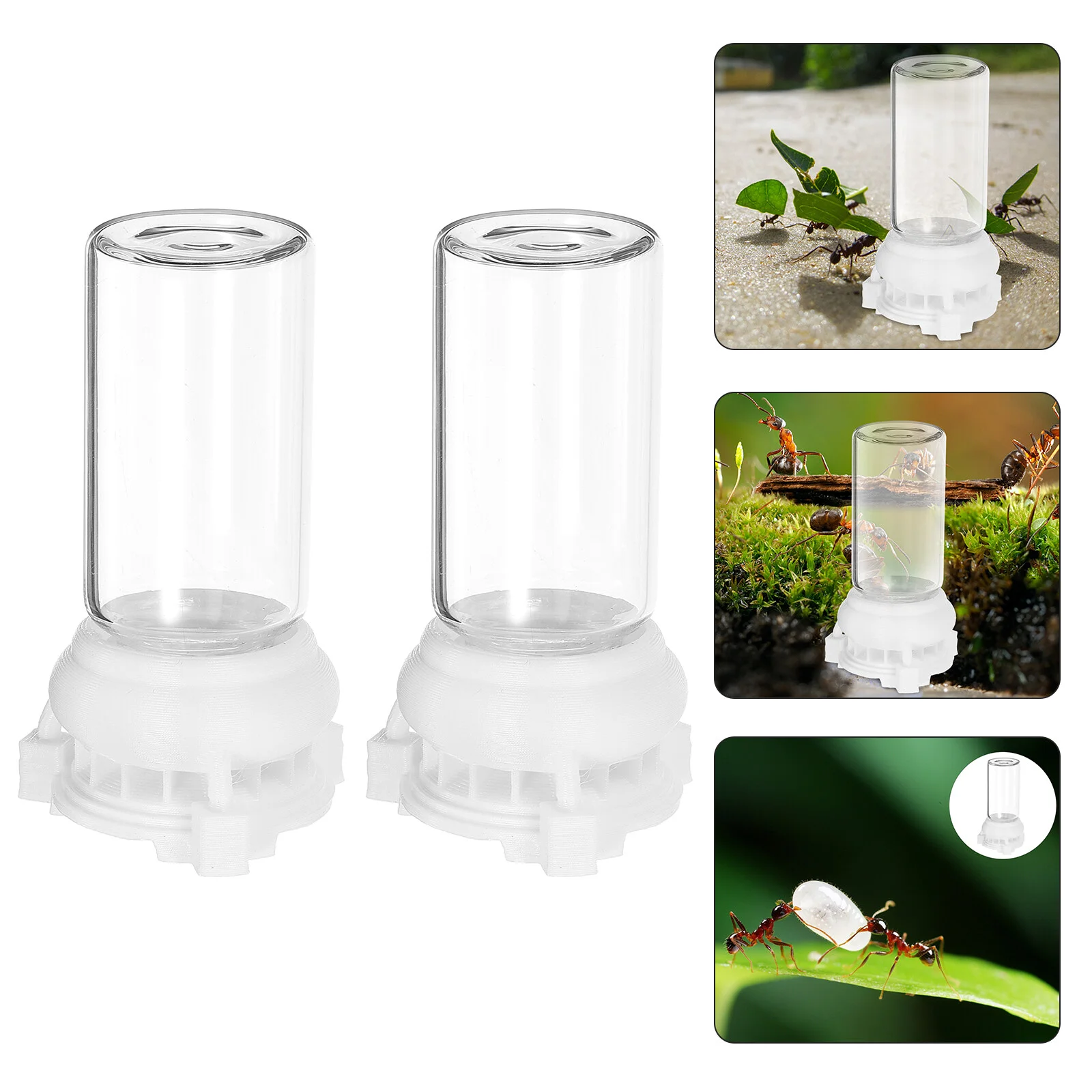 

2 Pcs Ant Keeper Tools Water Feeding Cup Feeder Houses Pet Nest Watering Station Small Insect Cups Garden