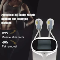 professional emslim build muscle stimulator fat loss burn fat electromagnetic ems stimulation body slimming sculpting machine
