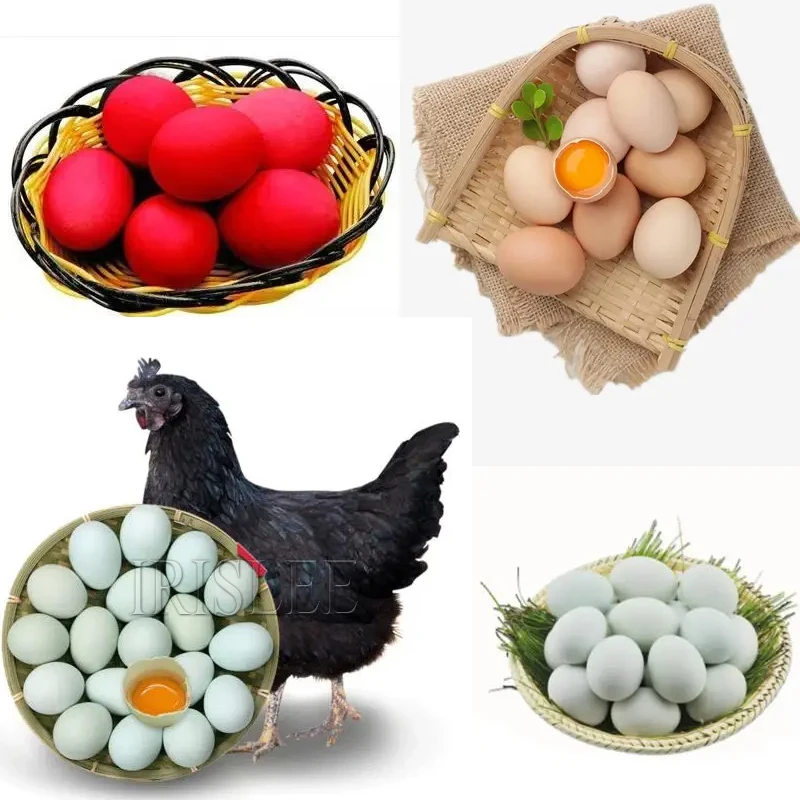 Новый дизайн без повреждений мойка для яиц высокоэффективная стиральная машина