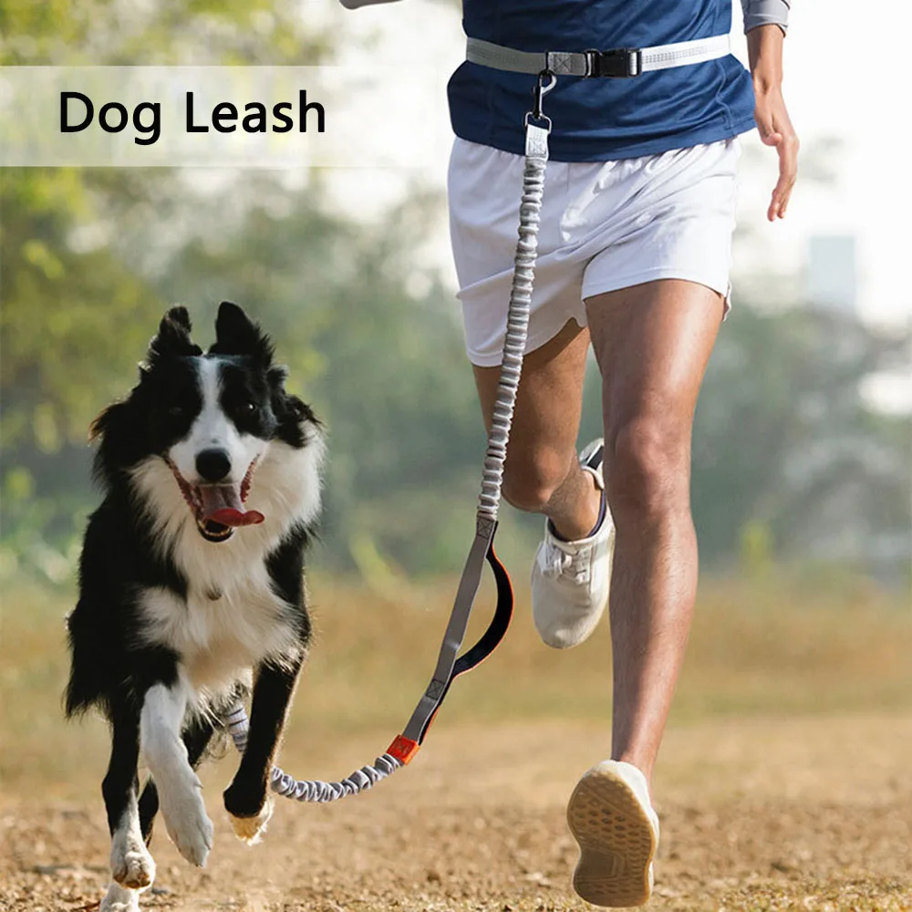 

Pet Running Leash Reflective Double Retractable Dog Leash Adjustable Hanging Waist Hands-Free Dog Leash Metal D-Ring Pet Belt