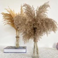 45cm water reed pampas grass natural dried flowers bouquet wedding decorate hay for party bohemian christmas home table decor