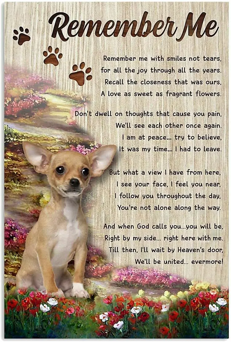 Постер с изображением плохой собаки чихуахуа для дома идеально подходит декора