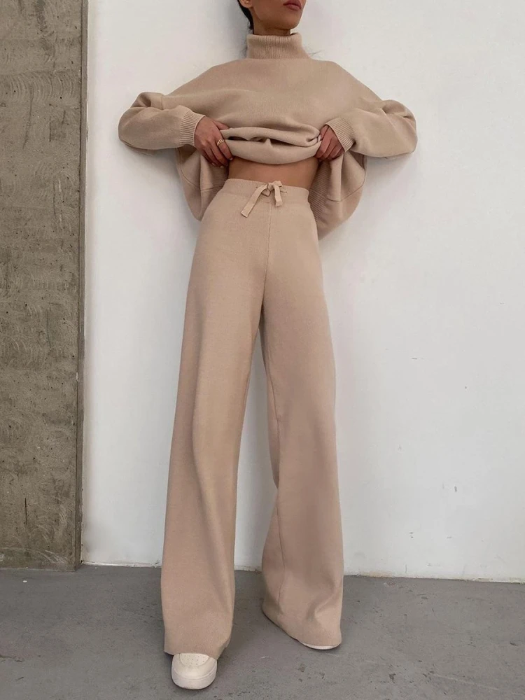 

New Style Autumn Winter Temperament Two Piece Set Long Sleeve Wide Leg Trousers Casual Versatile Solid Color High Collar Tops
