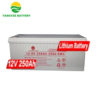 yangtze 10 years warranty 12v 24v 250ah 500ah solar_charge_controller_for_lithium_ion_battery