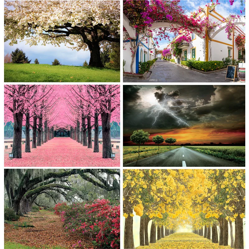 

Vinyl Custom Ocean Scenery Photo Studio Photography Background Lake Scenic Beach Trees Landscape Backdrops 22815 FJ-02