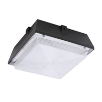 factory 40w 60w 90w parking garage fixture surface mount gas station led canopy light