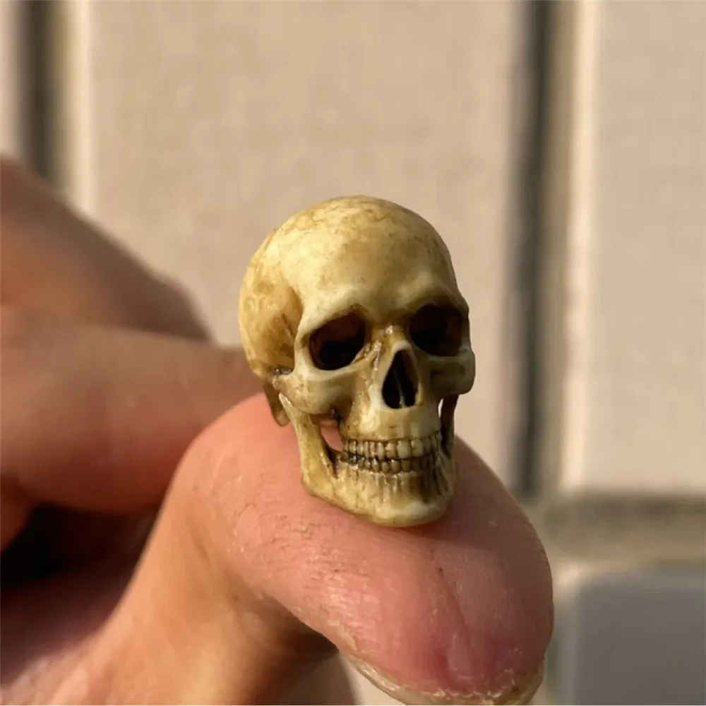 

Миниатюрный пластиковый скелет черепа 1:12