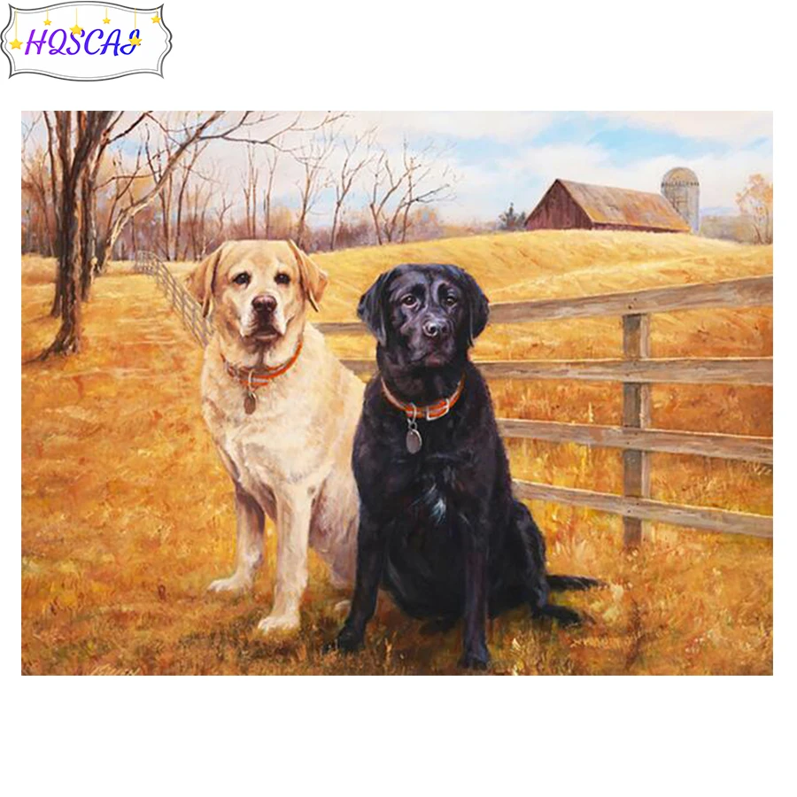 5d diy Алмазная вышивка Лабрадор Ретривер крестиком Современный декор мозаика