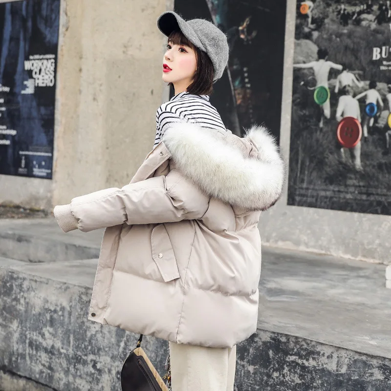 Temperament winter clothing Korean version of Joker cotton-padded jacket women's loose cotton-padded coat