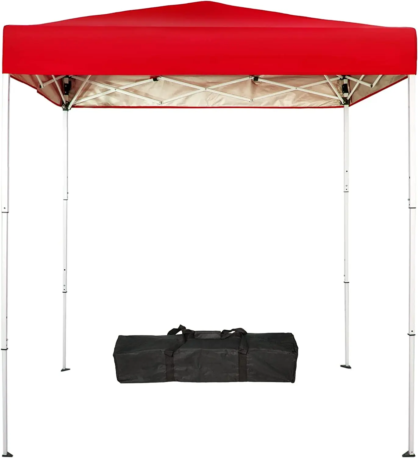 

6x4 Ft Pop-Up Canopy Tent Outdoor Portable Instant Shelter Folding Canopy with Carry Bag(Royal Blue)