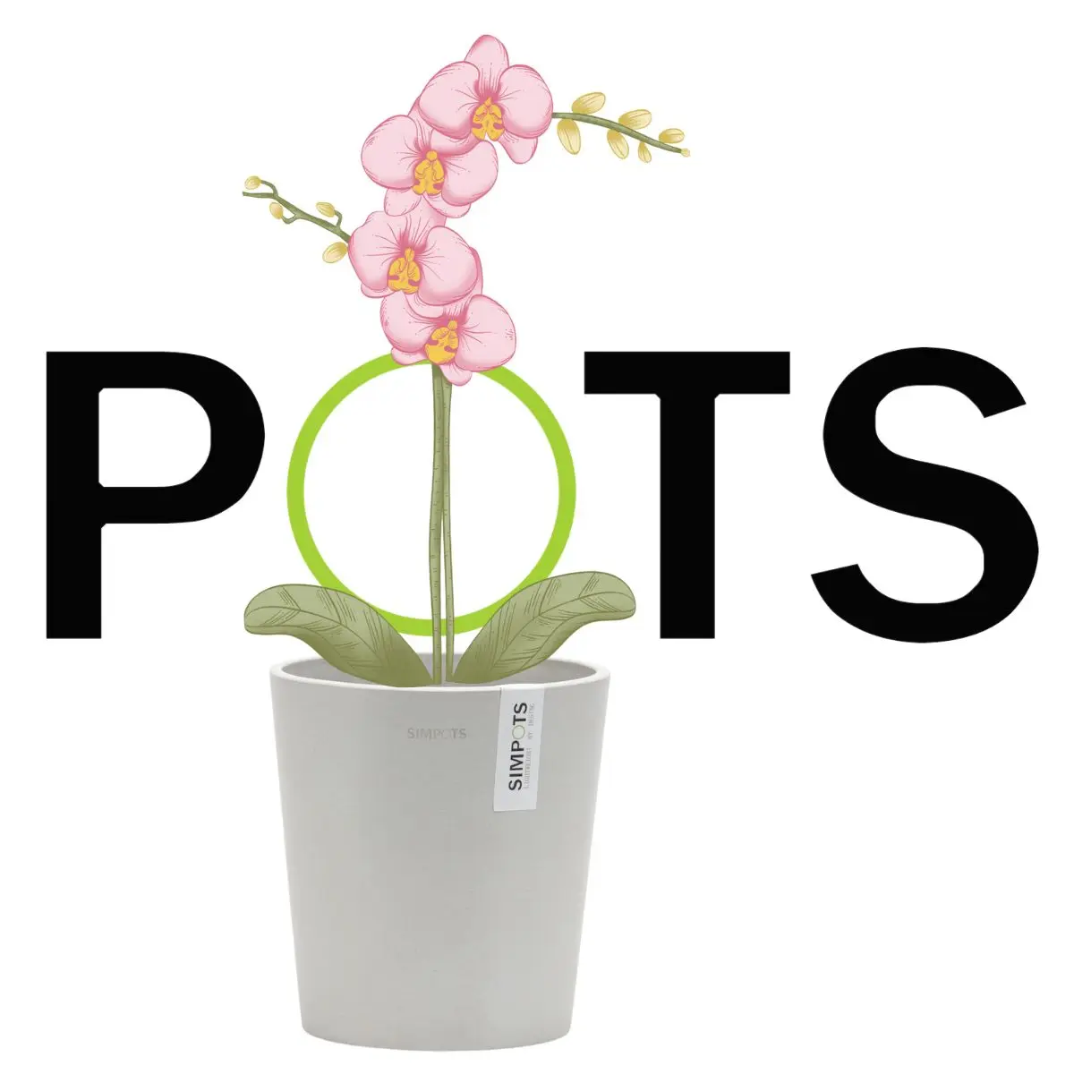 

SIMPOTS Plant Pot White LH14CM Orchid Flower Planters Decorative Planters For Plants Low Price ECO Friendly