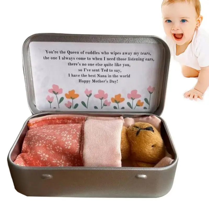 

Pocket Bear Mini Bears Little Stuffed Tiny Bears In A Box With Cards And Quilts For Christmas Shower Friend Birthday Supplies