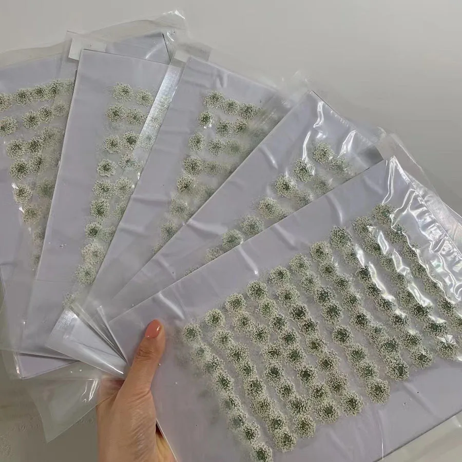 

250 шт. прессованные сушеные белые цветы Ammi Majus растение гербарий для ювелирных изделий открытка пригласительный билет чехол для телефона закладка DIY