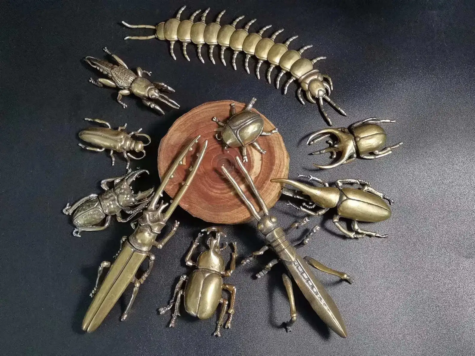 

Lot 10 pcs , Life size 1:1 simulate brass insect beetle figurine vintage Centipede seven star ladybug longicorn Mole cricket Sta