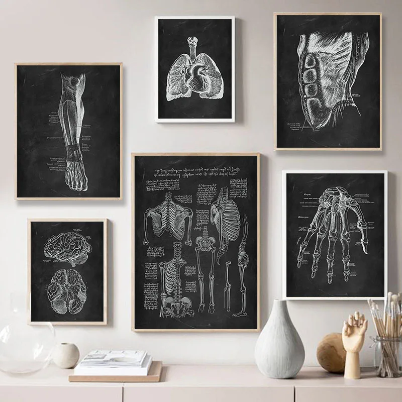 

Художественный постер медицинской клиники по анатомии человека, винтажные настенные картины на холсте со скелетом, для обучения телу