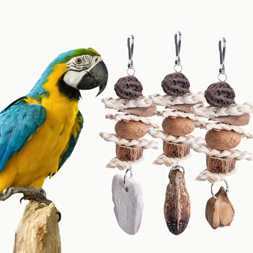 

Safe Bird Chew Toy Anti-Scratch Fine Workmanship Stable Hanging Pet Parrot Bite Toy Parrot Toy Grinding Claw Mouth