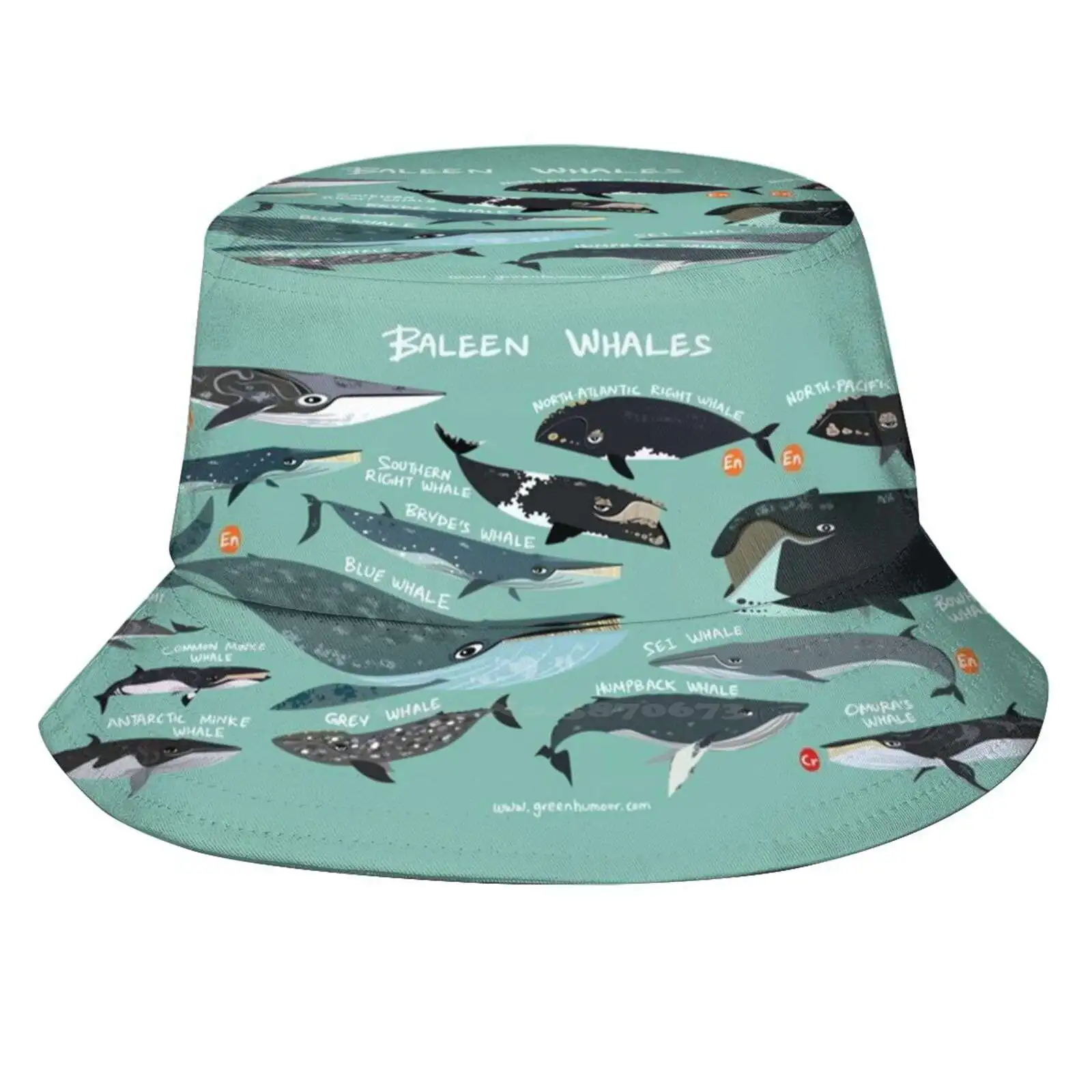 

Baleen Whales Unisex Fashion Women Men Breathable Bucket Hats Baleen Whale Cute Funny Humour Wildlife Nature Science Zoology