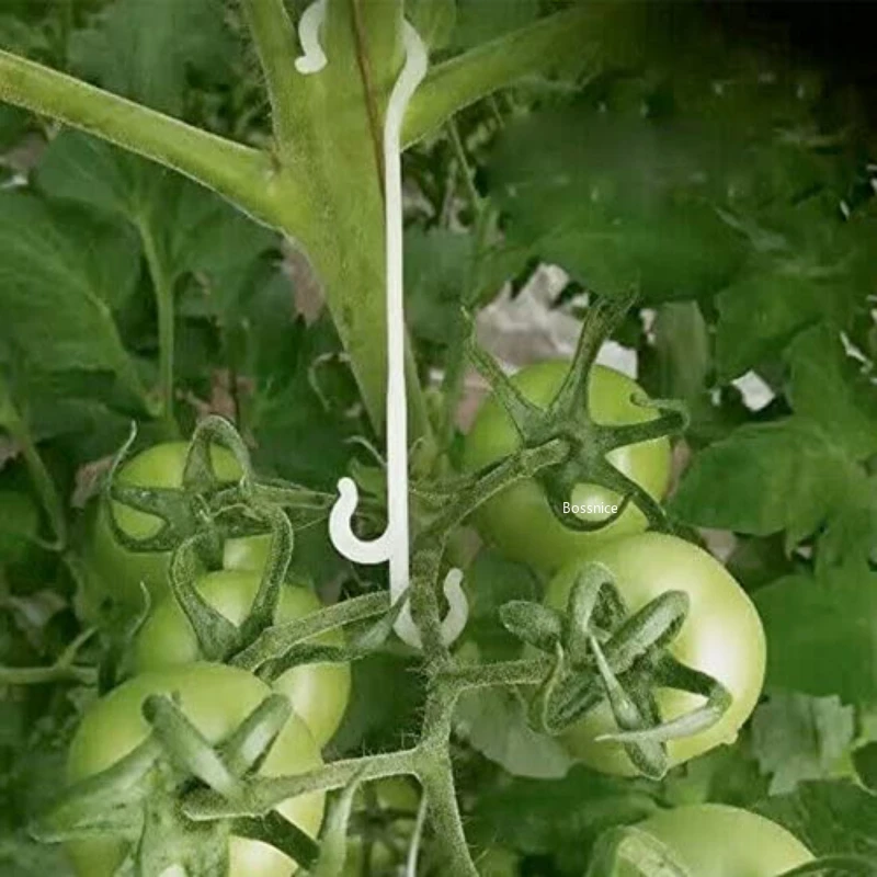 

100Pcs 13CM Tomato Support J Hooks Plant Support Vegetable Clips To Prevent Tomatoes Fruit Cluster From Pinching or Falling Off