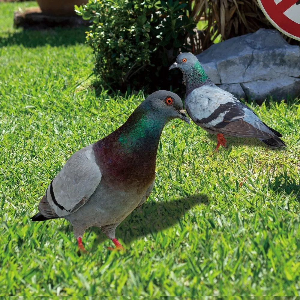 Double-Sided Printing Yard Art Decor Outdoor Acrylic Pigeon Statues Realistic Wild Pigeon Decorations Pigeon Sculpture