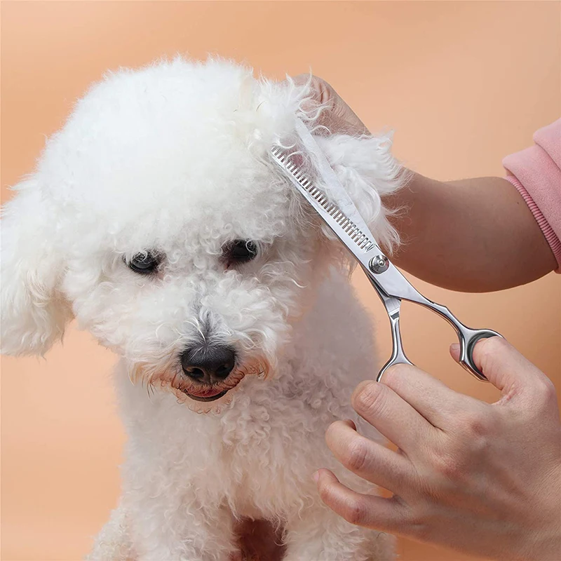 4 шт. ножницы для ухода за собаками с безопасным круглым кончиком набора стрижки
