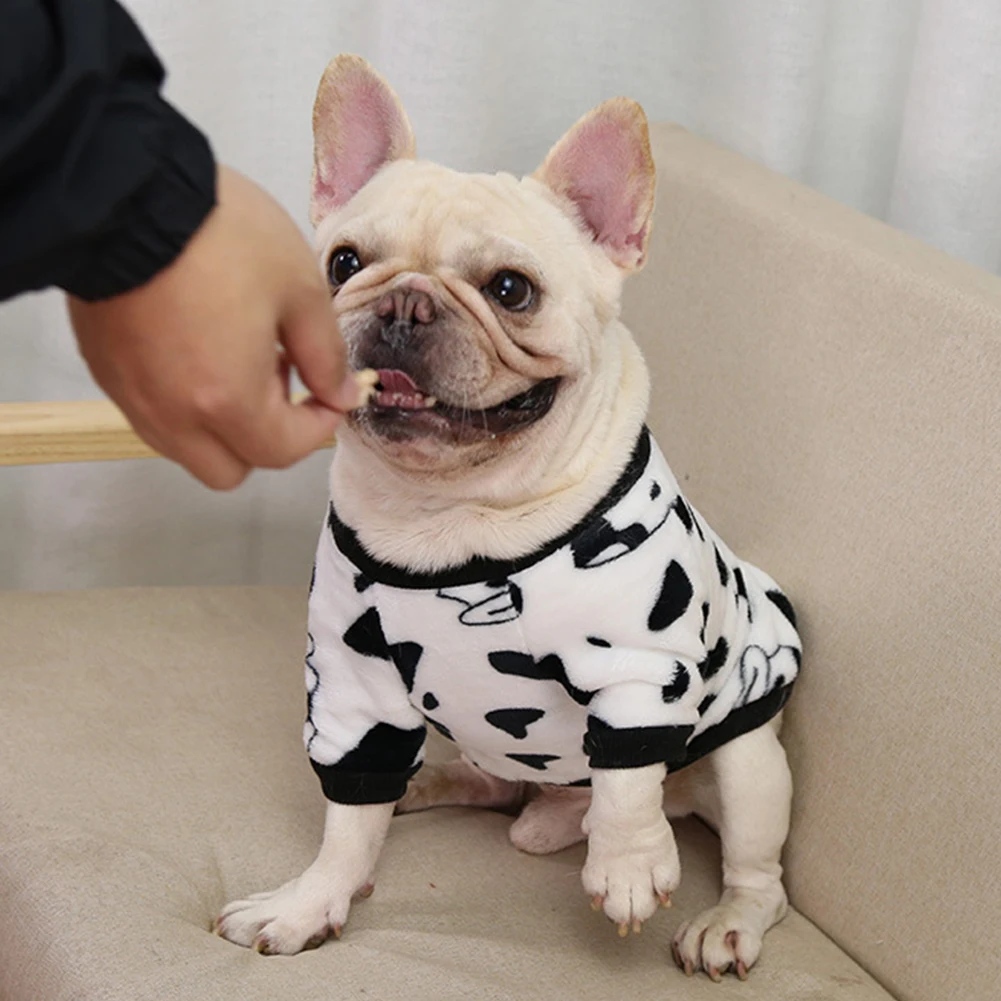 

Cute Fruit Frinted Dog Clothes for Small Dogs Coats Warm Fleece Pet Clothing Puppy Cat Costume for French Chihuahua Jacket Suit