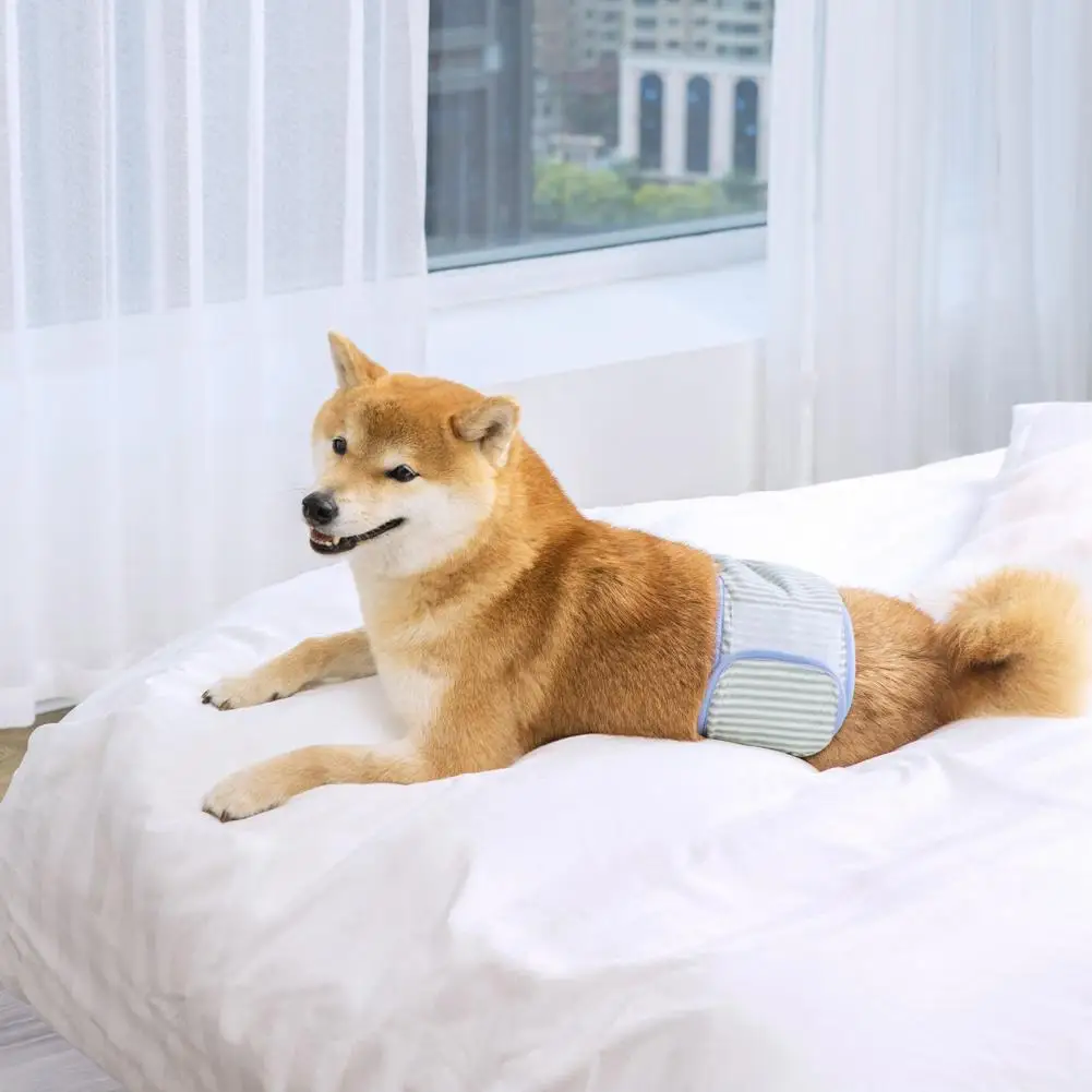 

Pet Physiological Pants Adjustable Leak-proof Pet Pant Disposable Dog Diapers for Small Dogs Quick Absorption Breathable