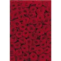 

Настенная роспись с розами