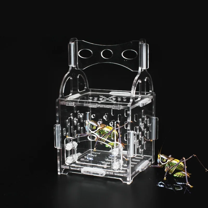 

Акриловая искусственная вилла, кузнечик, искусственная рептилия, гнездо насекомых, прозрачная акриловая коробка 8*8*8 см