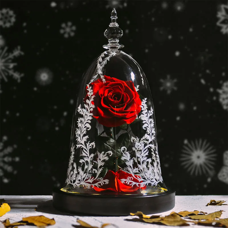 Gifts for Women Beauty and The Beast Preserved Roses In Glass Forever Eternal Rose Flowers Wedding Gift for Mom Girlfriend