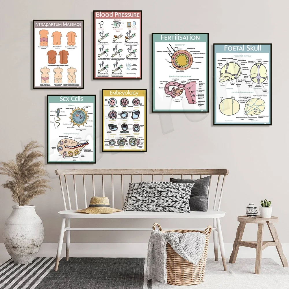 Экзология кровяное давление фетальный череп образование внутреннего массажа