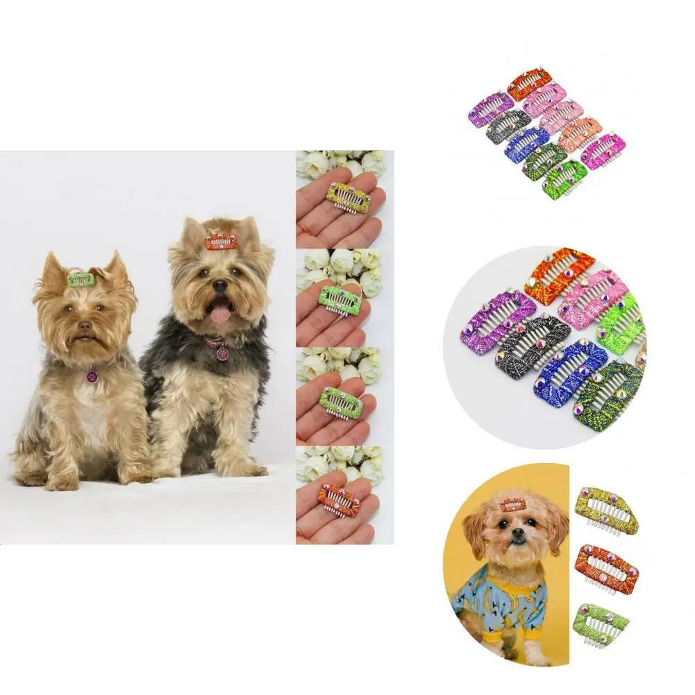

Fine Workmanship 10Pcs Cute Rhinestone Dog Hair Supplies Multicolor Pet Hairbands Lovely for Outdoor