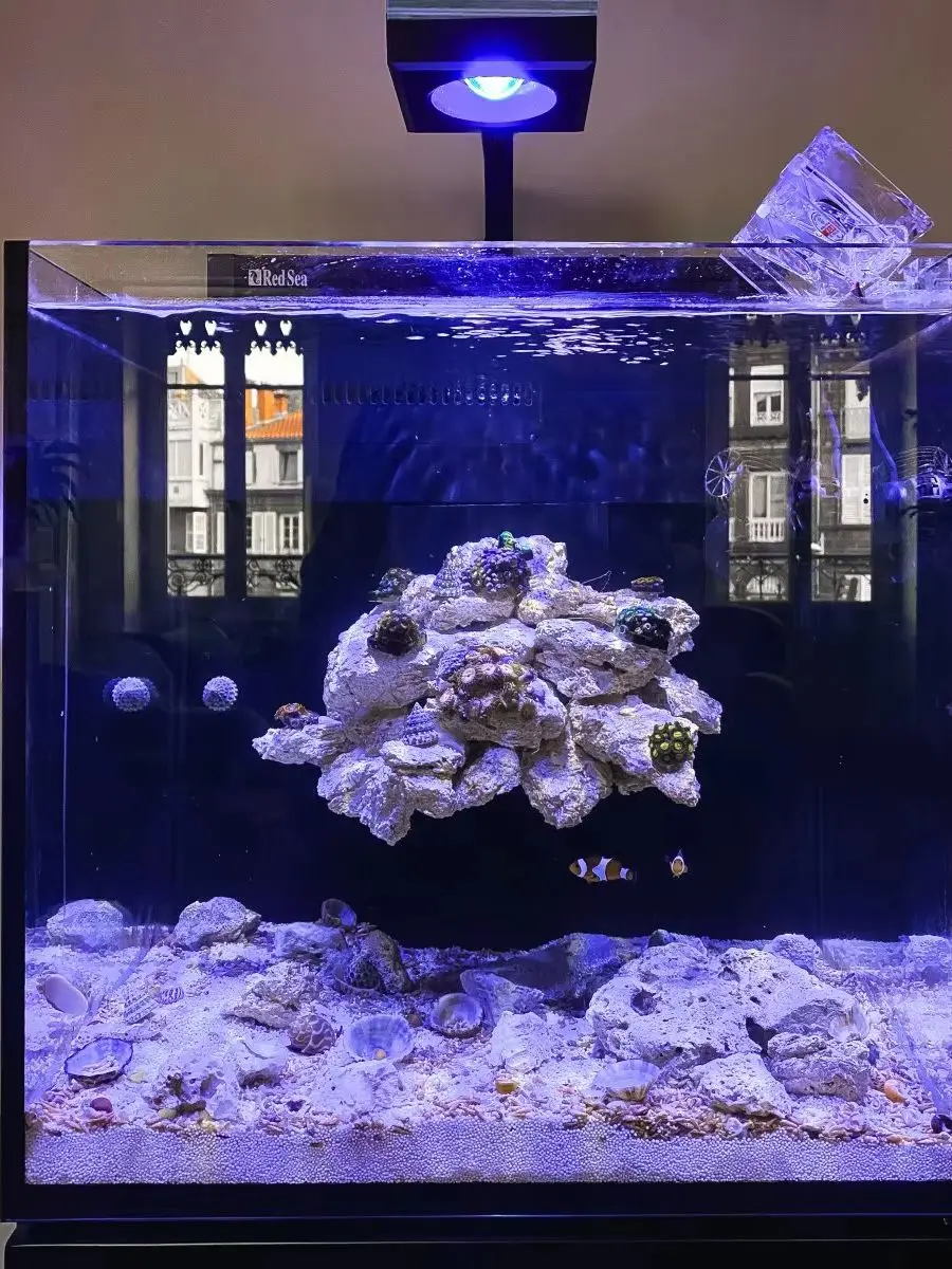 Фото Светодиодный светильник PopBloom RL90 Reef LED с креплением на кронштейн и управлением через приложение, умный светодиодный светильник для морского кораллового аквариума SPS LPS. №1
