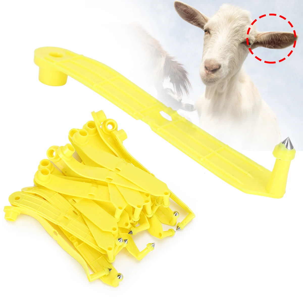 

20pcs Livestock Sheep Goat Ear Tags Animal Blank Tags Farm Animals Idetification Card goat
