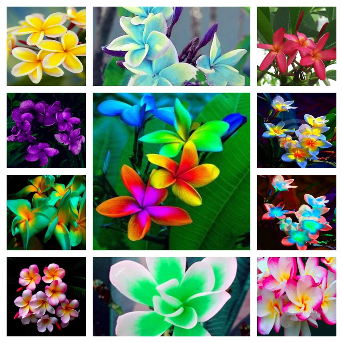 

100 шт. Плюмерия франжипана, гавайская Лея, цветок, благовония, красивые искусственные цветочные растения, ароматные благовония