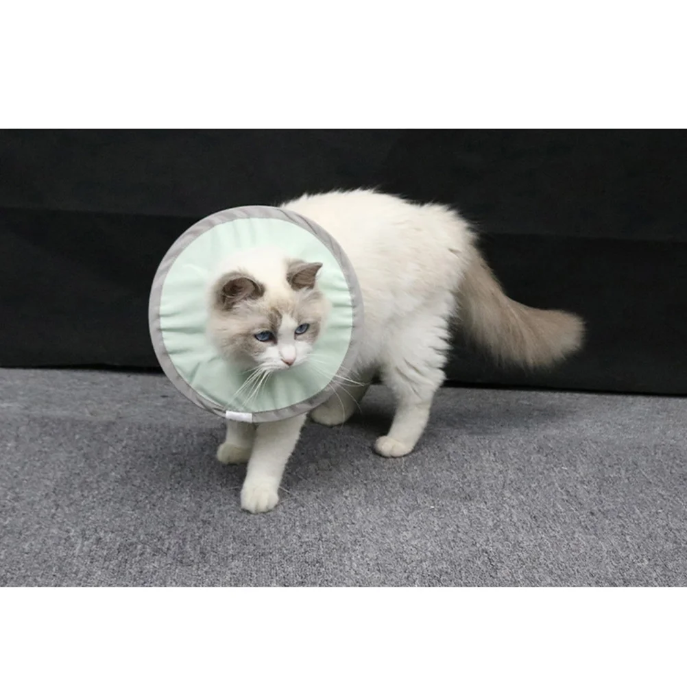 Защитный ошейник для домашних животных аксессуары костюмов восстановление