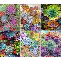 5d diy succulents diamond painting plant flower scenery picture full round drill mosaic handmade gift wall decor crefts new
