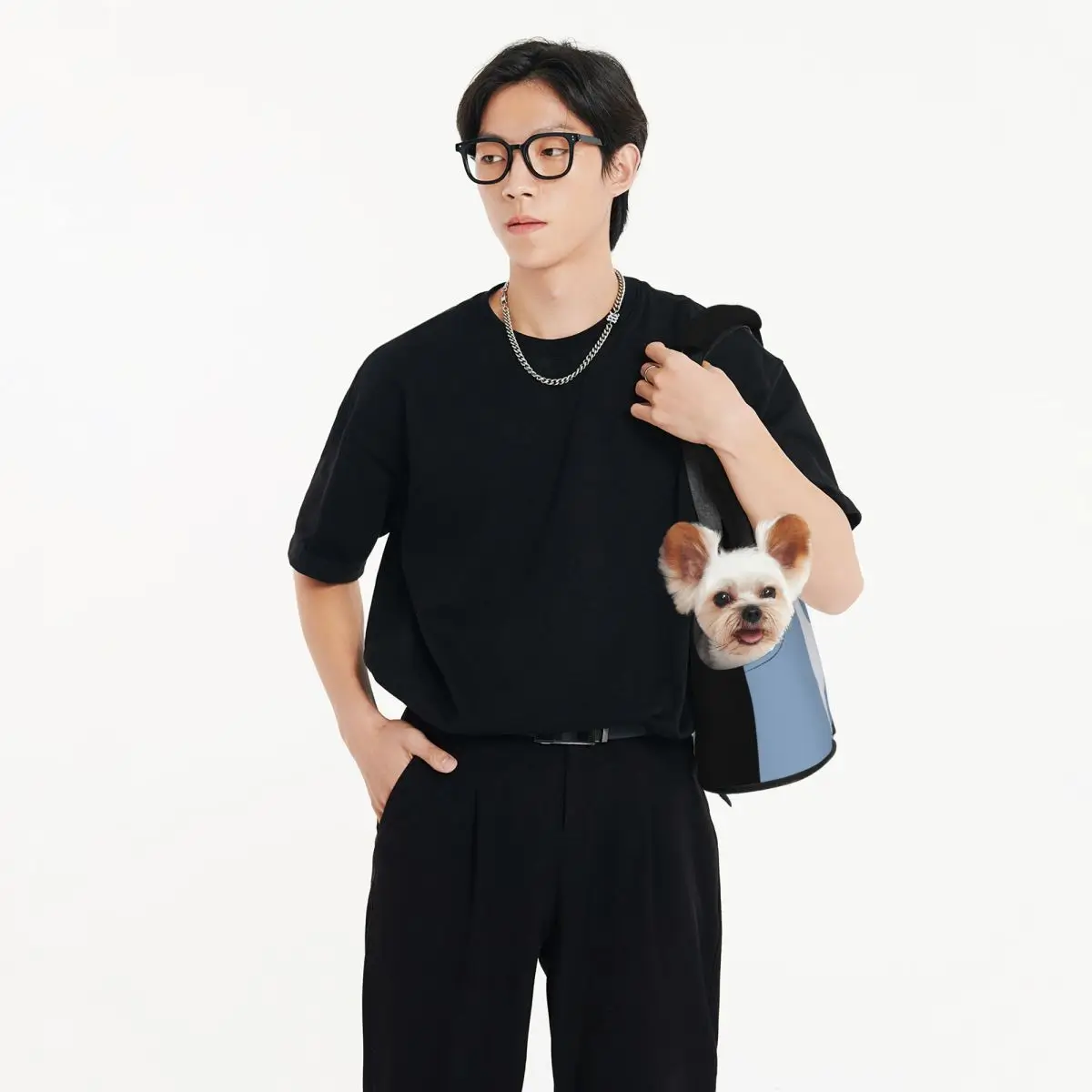 Гладкий Лисий терьер. Дружественная независимая забавная переносная сумка для