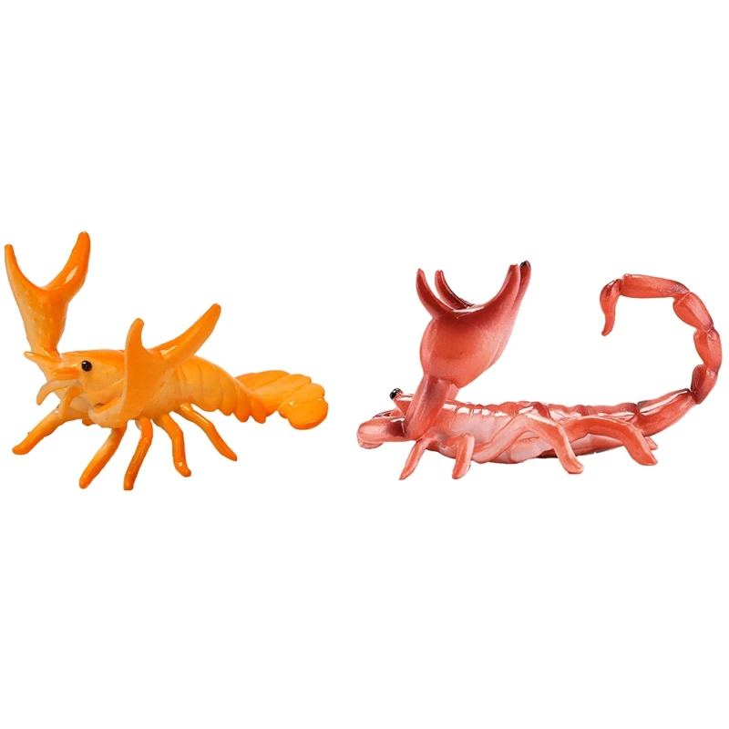 

2PCS Pen Holder Weightlifting Bracket Storage Rack Pen Rack Gift Stationery, Red Scorpion & Lobster Orange