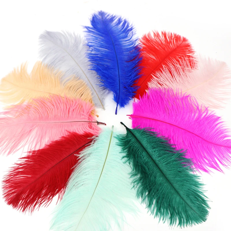 

Colord Ostrich Feathers for Jewelry Creation Colorful Plumes DIY Dream Catcher Feather