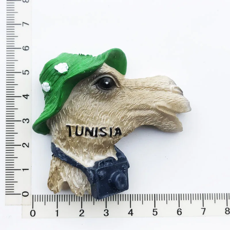 3d-магниты для холодильника Африка Тунис туристические сувениры магниты