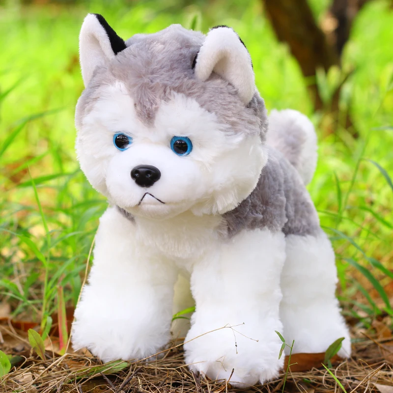 

Large 40x35cm Lovely Cartoon Husky Dog Plush Toy Simulation Dog Soft Doll Throw Pillow Birthday Gift b1897