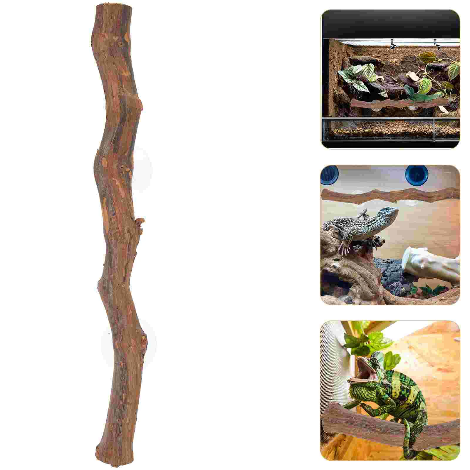 

Lizard Pet Stand Reptile Decor Interesting Climbing Crawling Toy Branch Accessory Wooden Cage Reptiles