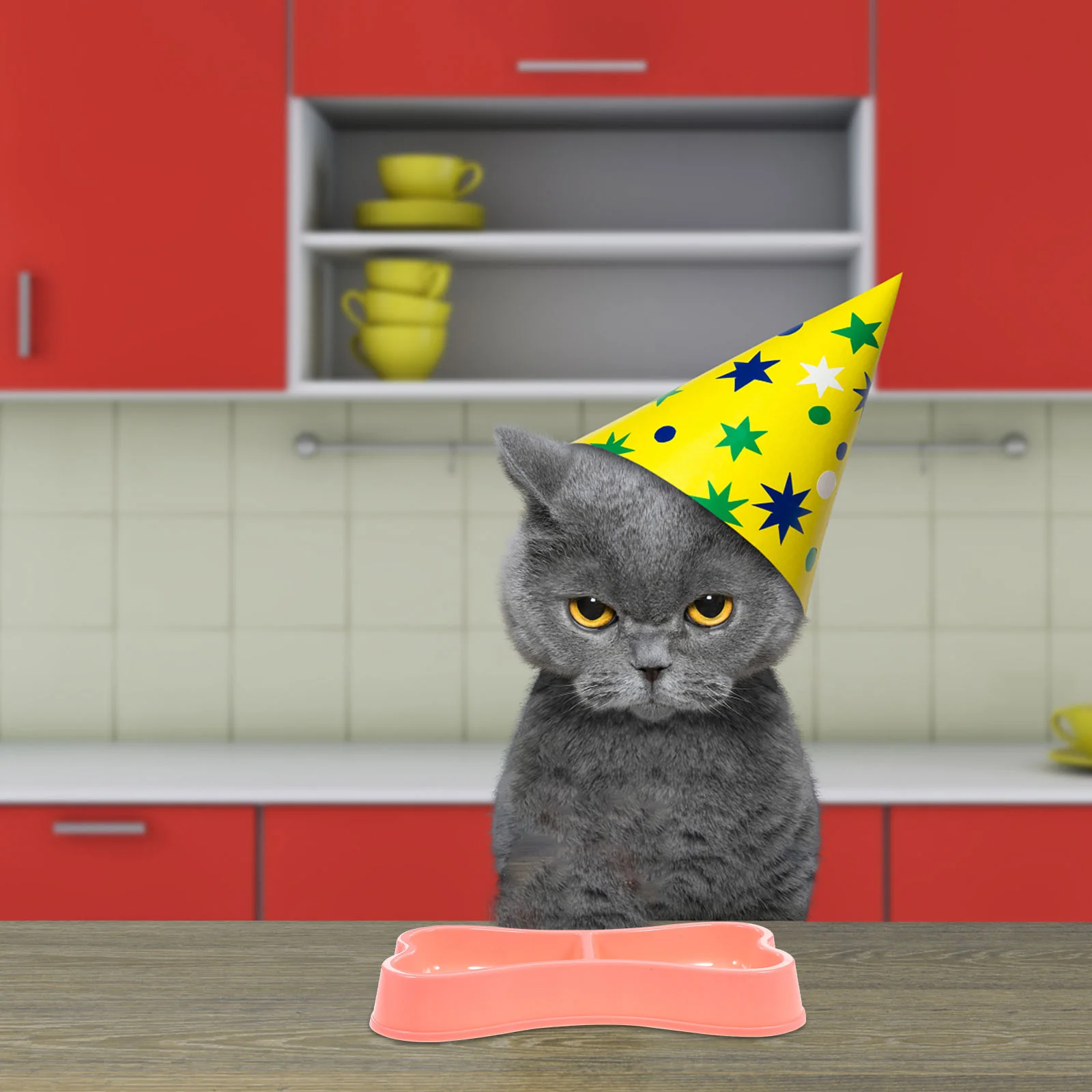 

Birthday Cake Mold: Shape Cake Mold Plastic Mold Birthday Cake ( 8 inch )