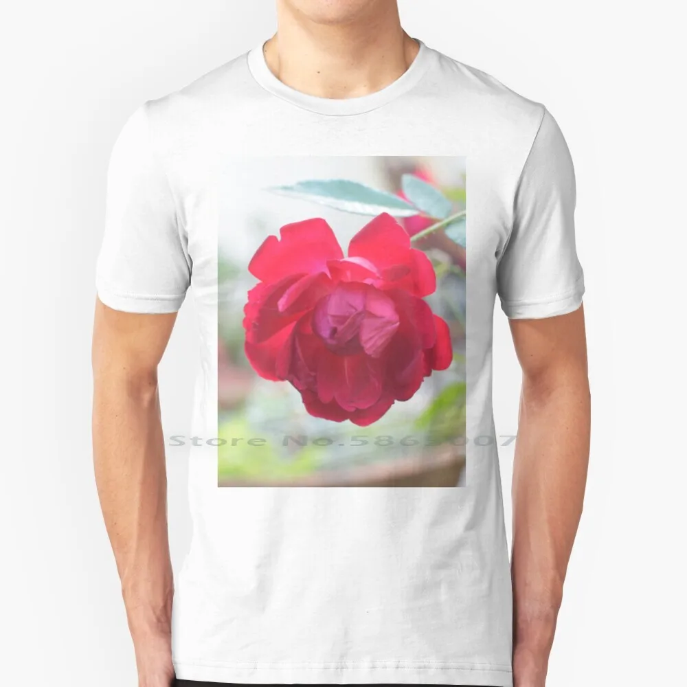 

A Rose Is A Rose T Shirt 100% Cotton Rose Red Flowers Garden Love Valentine Big Size 6xl Tee Gift Fashion