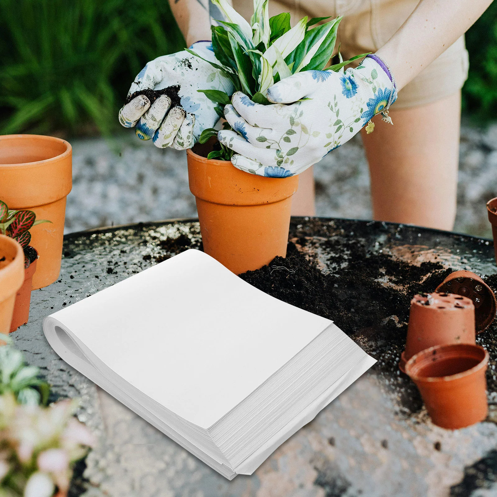 Прорастание бумаги для растений герметичные ростки рассады пшеницы светло-серые