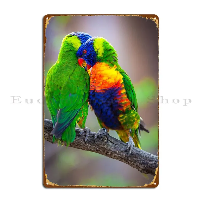 

Радуга Lorikeet любовь металлическая фотография Настенный декор индивидуальный знак оловянный знак плакат