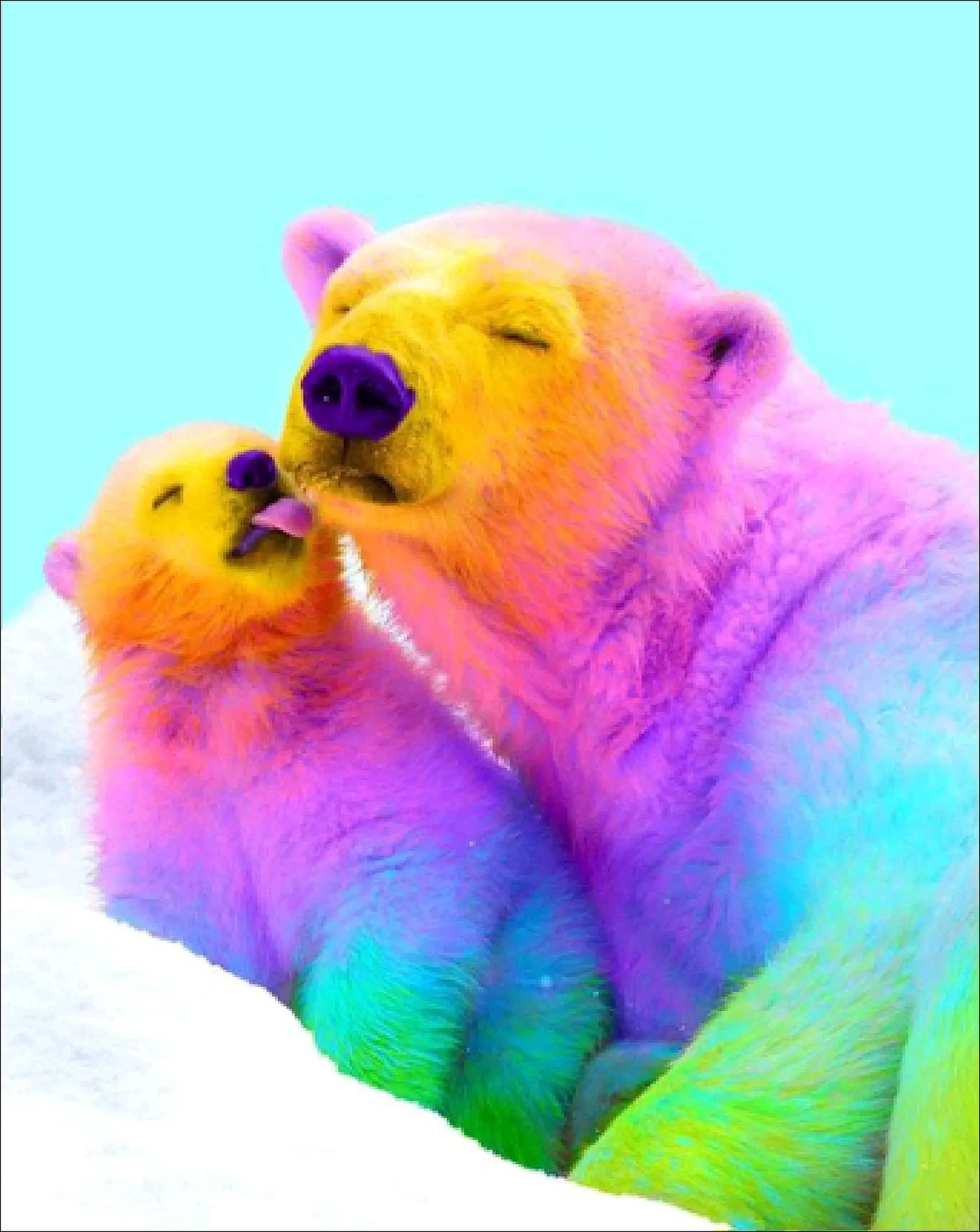 разноцветный кот. яркие рисунки. радужные котята. фламинго. разноцветный кот.